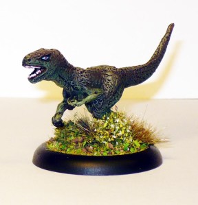 150708 harlequin raptor