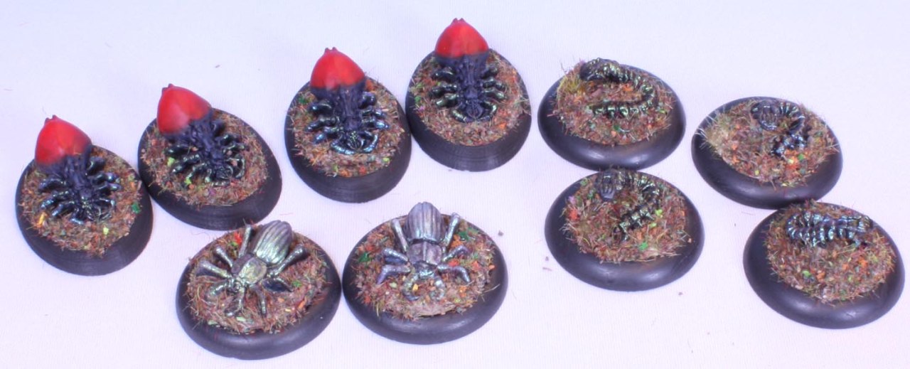 The Bugs of&nbsp;Summer